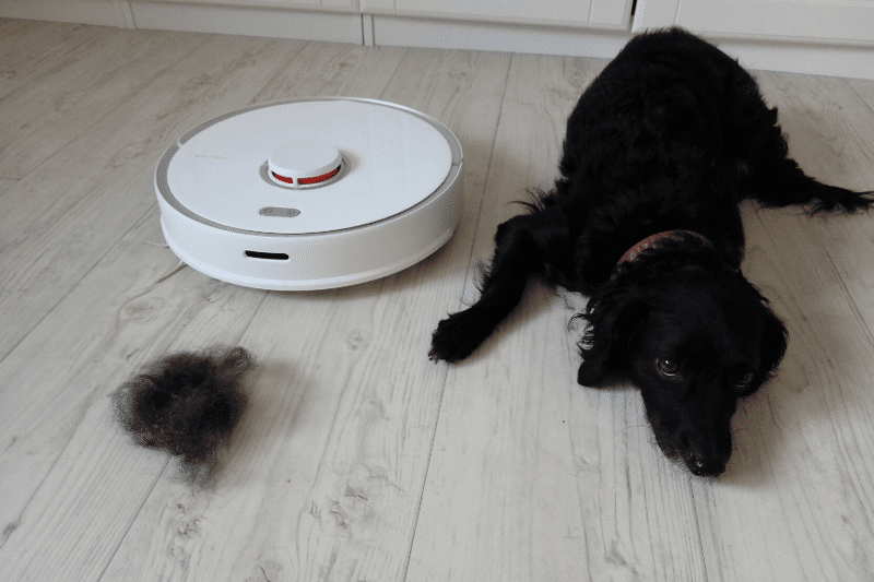 robot aspirateur pour animaux